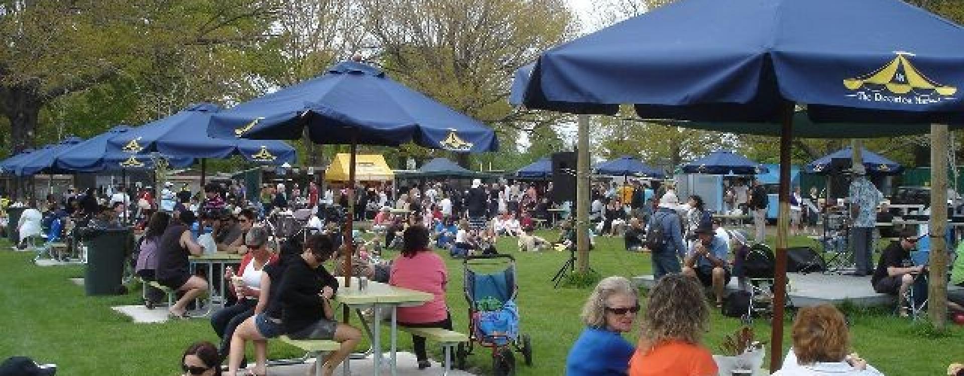 GAP at the Riccarton Market Greyhounds as Pets